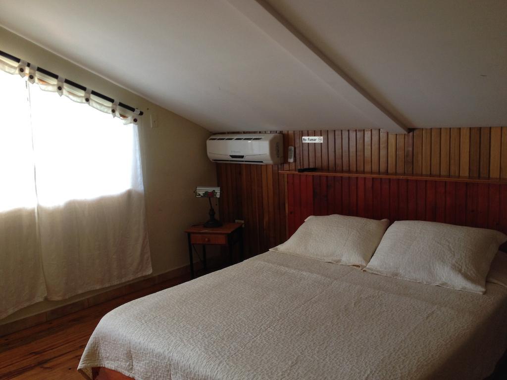 Hotel Posada Los Delfines Bocas del Toro Rum bild